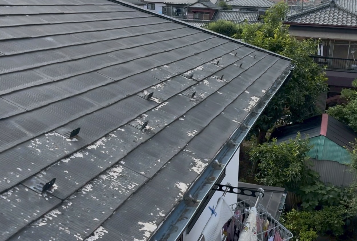屋根に白いカビが付着したスレート屋根